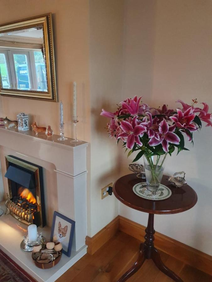 The Croft Guest House Narberth Eksteriør bilde